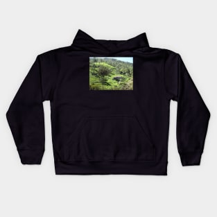 Indian Tea Garden Kids Hoodie